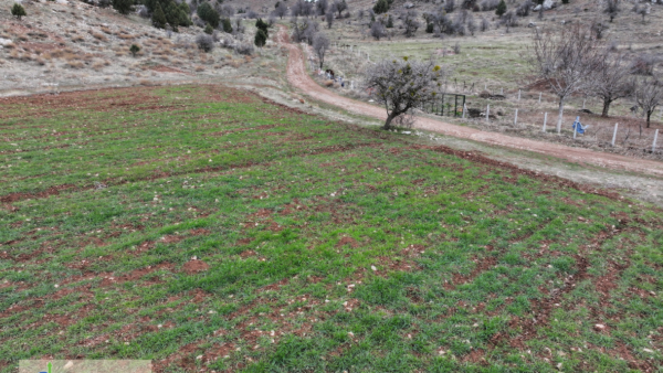 Konya, Bozkır, Ulupınar