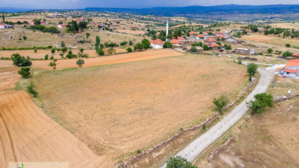 Uşak, Eşme, Bozlar