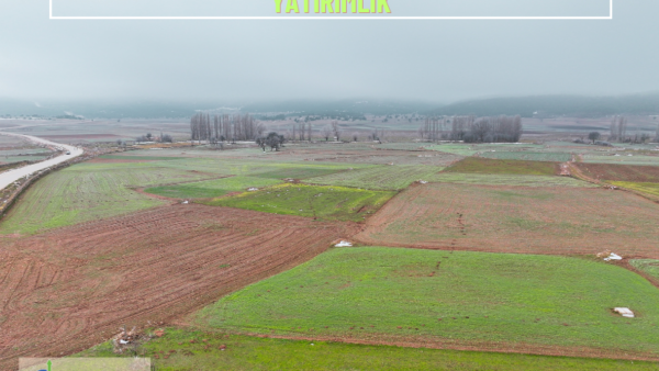 Kütahya, Altıntaş, Alıncık