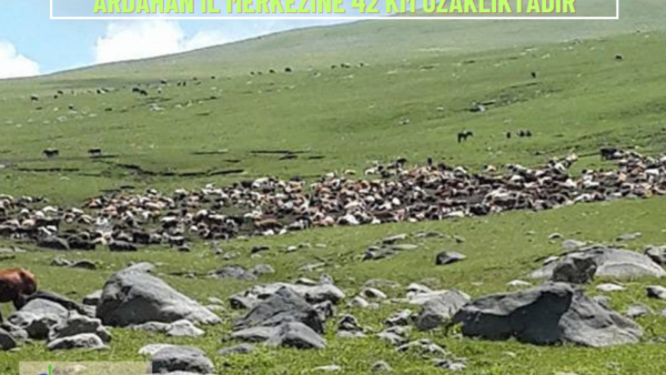 Ardahan, Merkez, Tunçoluk