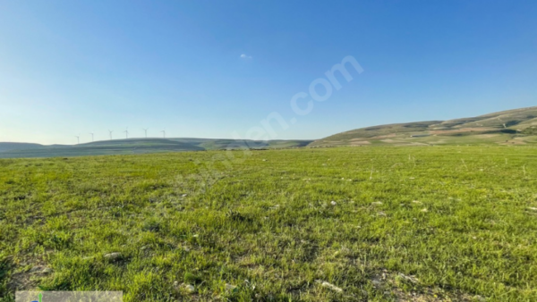 Ardahan, Merkez, Çağlayık