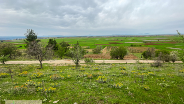Denizli, Bekilli, Çoğaşlı