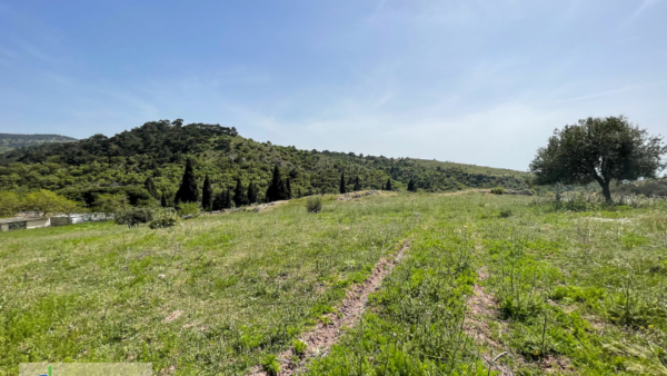 Çanakkale, Ayvacık, Babadere