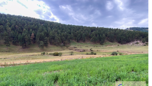 Kars, Sarıkamış, Yukarısarıkamış