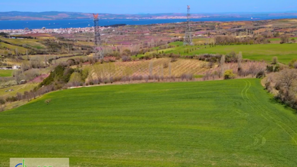 Çanakkale, Lapseki, Subaşı