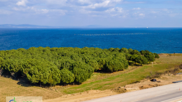 Çanakkale, Lapseki, Alpagut